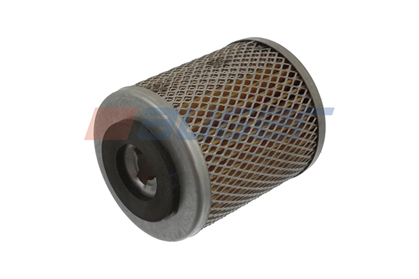 Fuel Filter (87132)