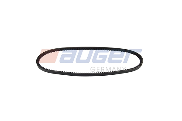 V-Belt (79815)