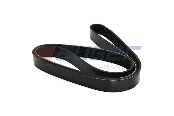 V-Ribbed Belt (79923)