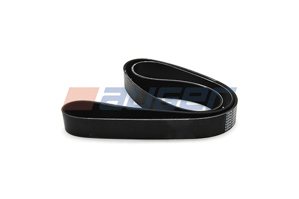 V-Ribbed Belt (80036)