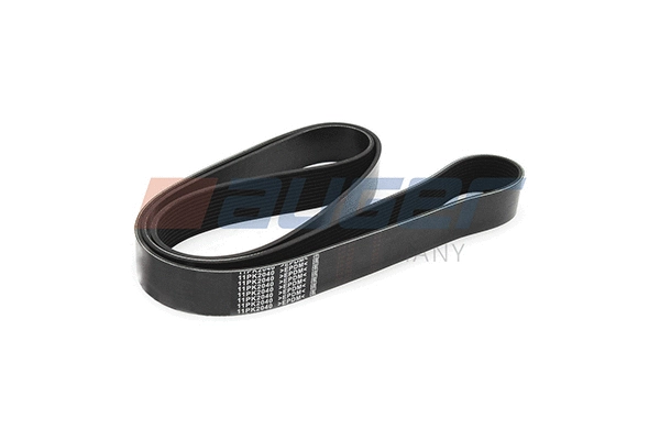 V-Ribbed Belt (80004)