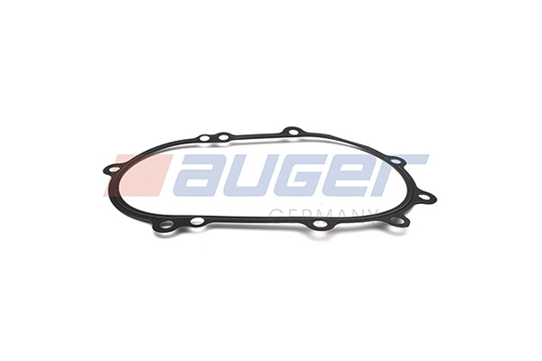 Gasket, timing case (84361)