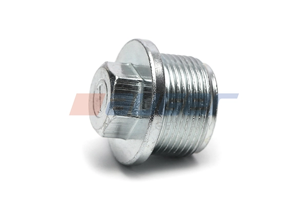 Screw Plug, oil sump (110999)
