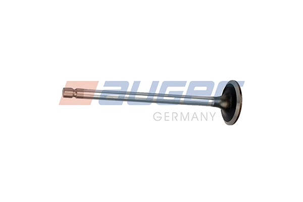 Intake Valve (113763)
