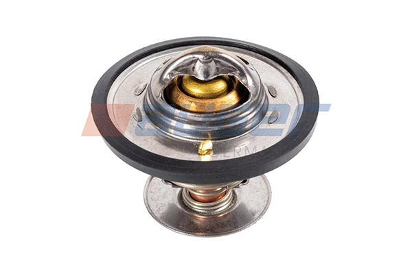 Thermostat, coolant (99181)