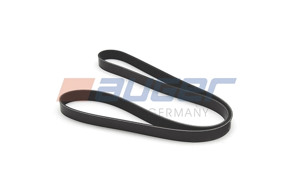 V-Ribbed Belt (79901)