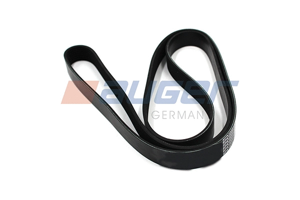 V-Ribbed Belt (79933)