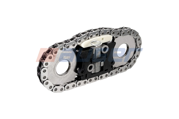 Timing Chain Kit (110911)