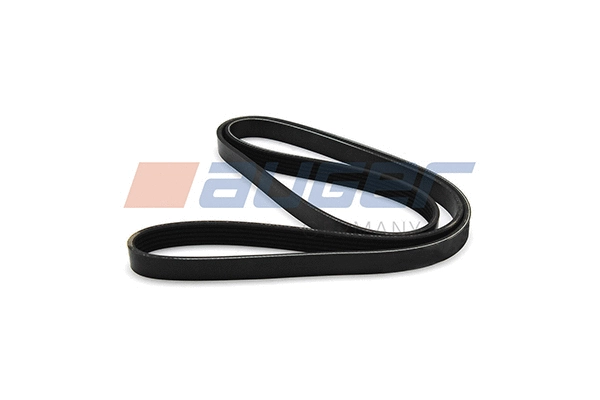 V-Ribbed Belt (80145)