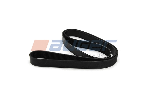 V-Ribbed Belt (87743)
