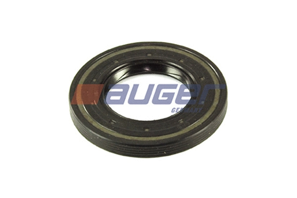 Shaft Seal, camshaft (69305)