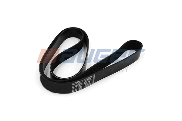 V-Ribbed Belt (79996)