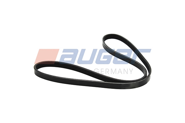 V-Ribbed Belt (80123)