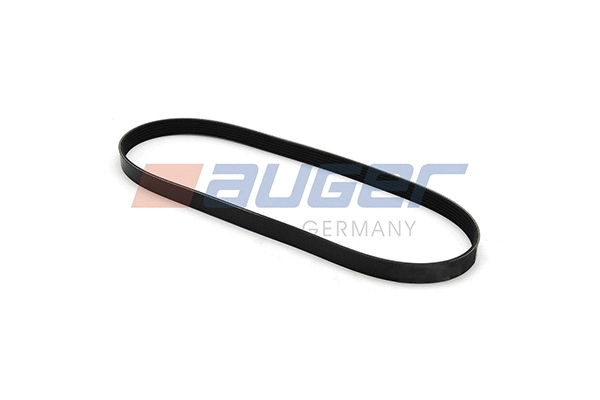 V-Ribbed Belt (79896)