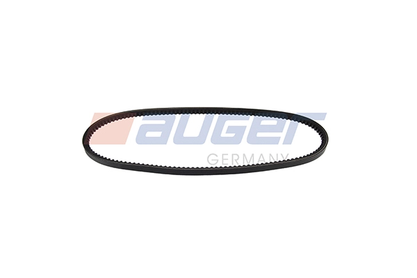 V-Belt (79858)
