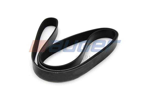 V-Ribbed Belt (79931)