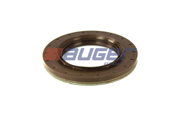 Shaft Seal, differential (69308)