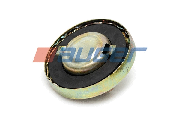 Sealing Cap, oil filler neck (71975)