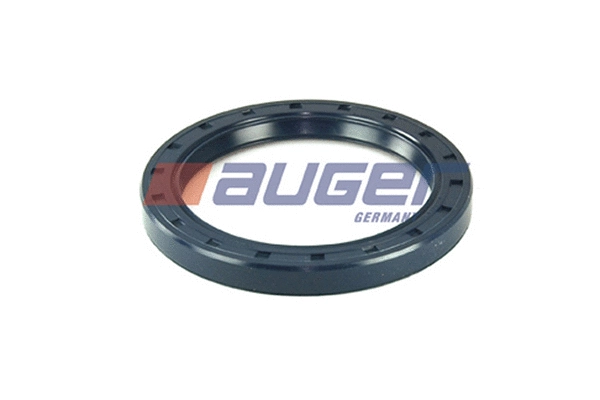 Shaft Seal, wheel hub (69181)