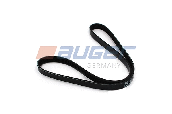 V-Ribbed Belt (80139)