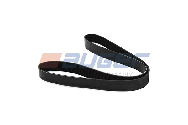 V-Ribbed Belt (80035)