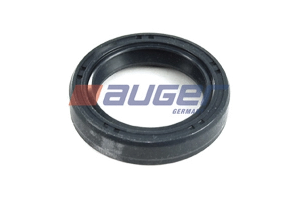 Shaft Seal, crankshaft (69242)