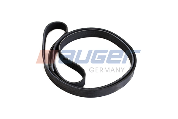 V-Ribbed Belt (79899)