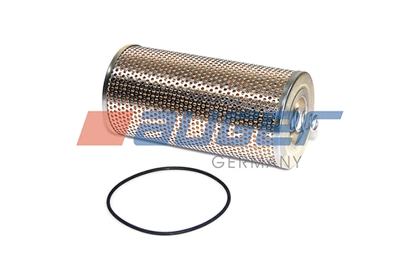 Oil Filter (76810)
