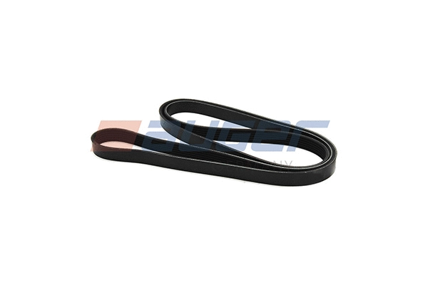 V-Ribbed Belt (79903)