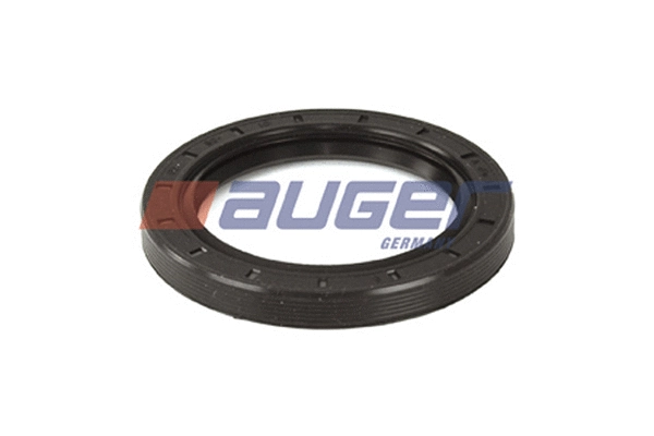 Shaft Seal, differential (69283)