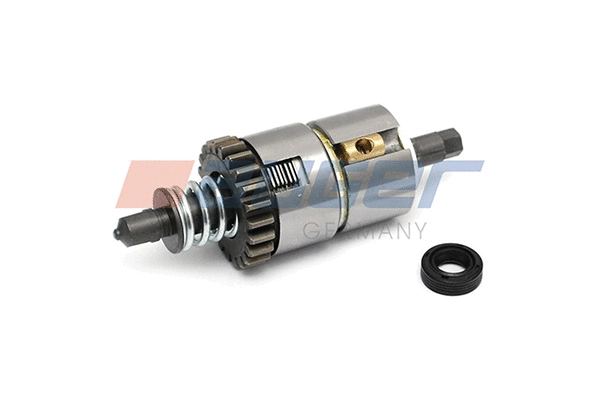 Repair Kit, brake caliper (55721)