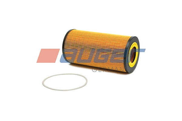 Oil Filter (76816)