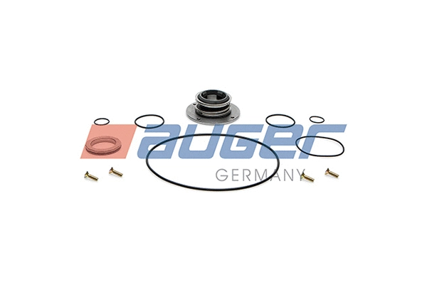 Repair Kit, water pump (73809)