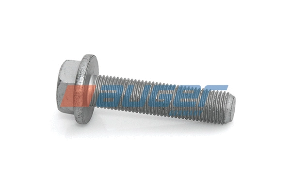 Bolt, brake disc (77249)