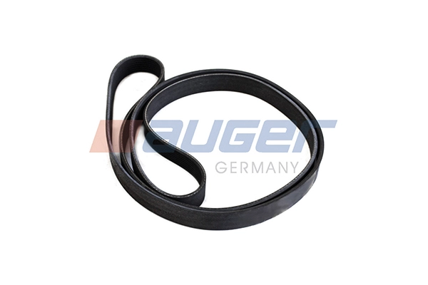 V-Ribbed Belt (79912)