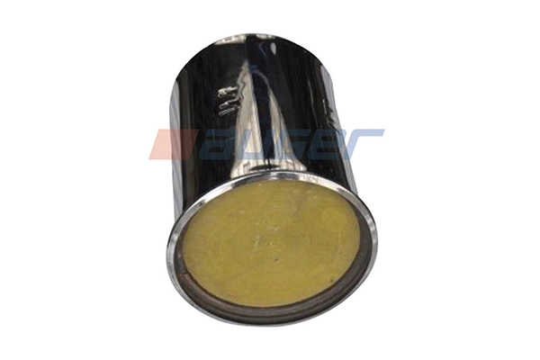 Catalytic Converter (77550)
