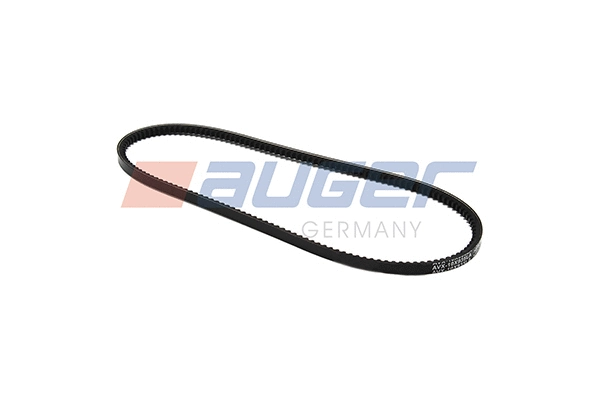 V-Belt (79817)