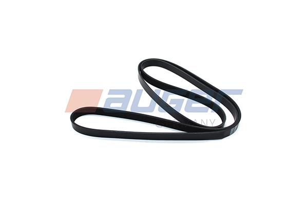 V-Ribbed Belt (90870)