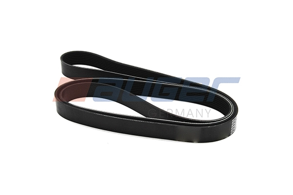 V-Ribbed Belt (79947)
