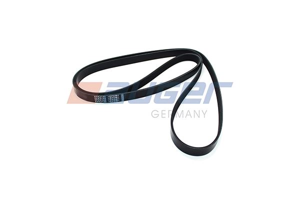 V-Ribbed Belt (90860)