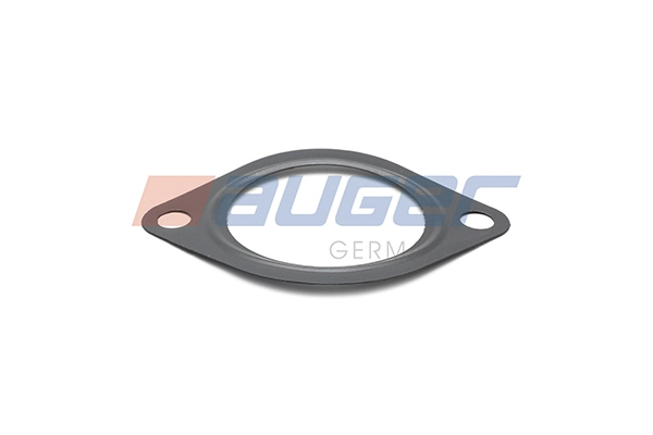 Gasket, exhaust pipe (101214)