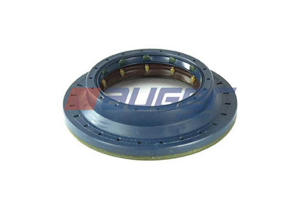 Shaft Seal, differential (69247)