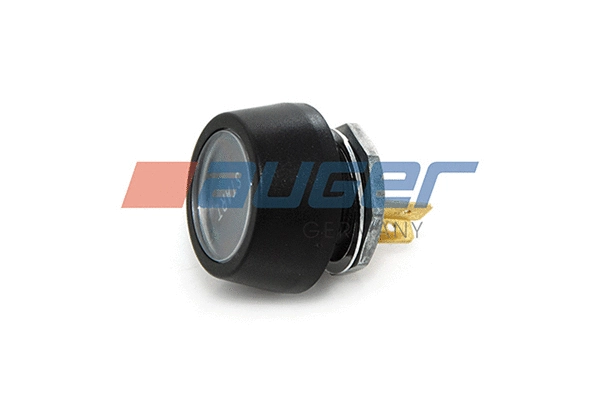 Ignition Switch (75191)