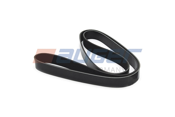 V-Ribbed Belt (79963)