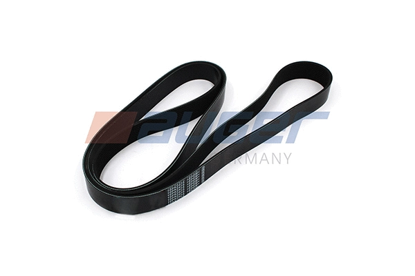 V-Ribbed Belt (80111)