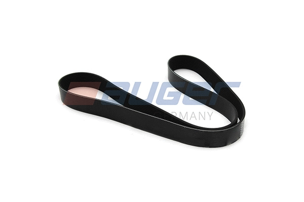 V-Ribbed Belt (80088)
