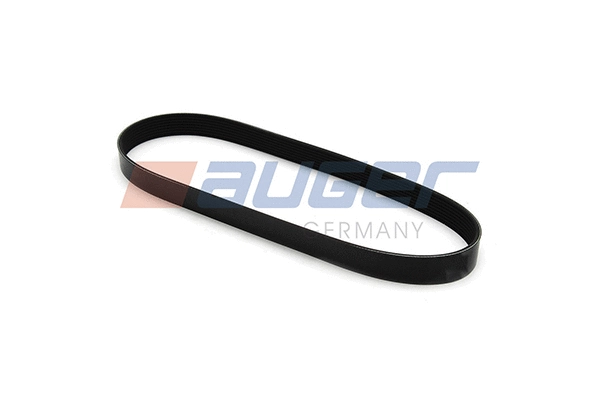 V-Ribbed Belt (80061)