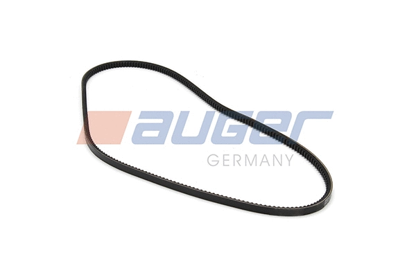 V-Belt (79836)