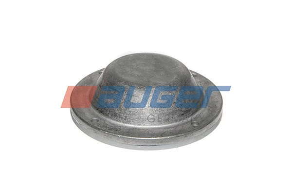 Cap, wheel bearing (80248)