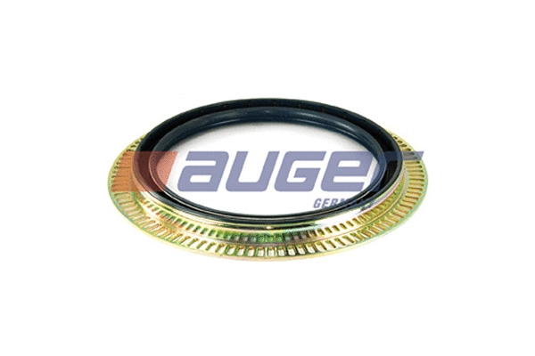 Shaft Seal, wheel hub (69254)
